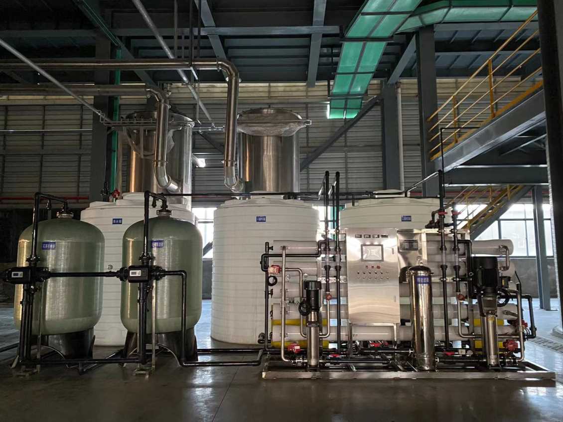 湖北6T/h双级反渗透纯水设备